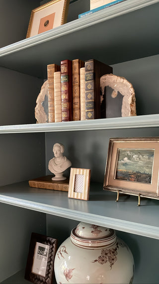 Petrified Bookend Pair