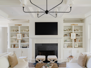 Petrified Bookend Pair